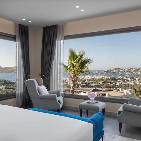 Hotel Ailla 3*